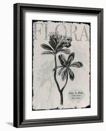 Vintage Botanical 2-Melody Hogan-Framed Art Print