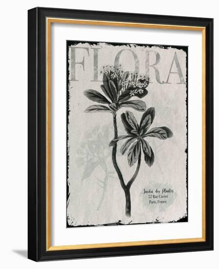 Vintage Botanical 2-Melody Hogan-Framed Art Print