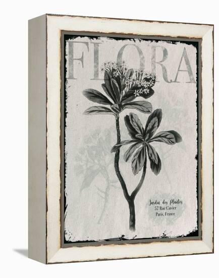 Vintage Botanical 2-Melody Hogan-Framed Stretched Canvas