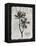 Vintage Botanical 2-Melody Hogan-Framed Stretched Canvas