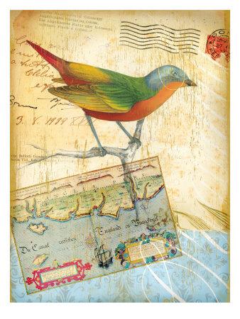 'Vintage Botanical Bird Print' Giclee Print - | Art.com