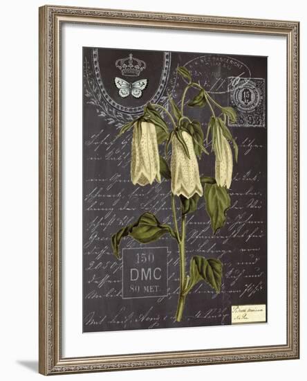 Vintage Botanical - Campanula-Stephanie Monahan-Framed Giclee Print