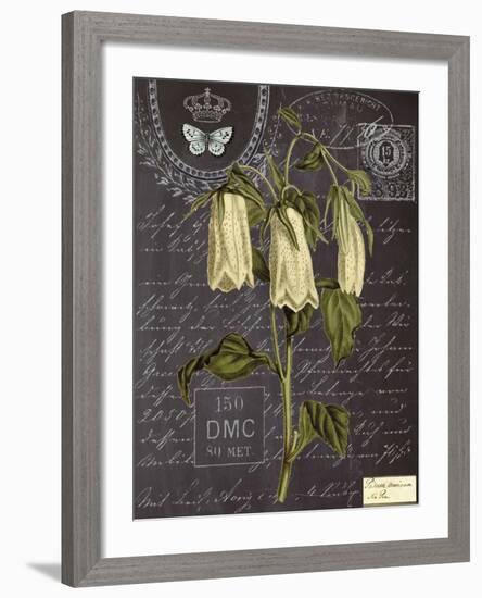 Vintage Botanical - Campanula-Stephanie Monahan-Framed Giclee Print