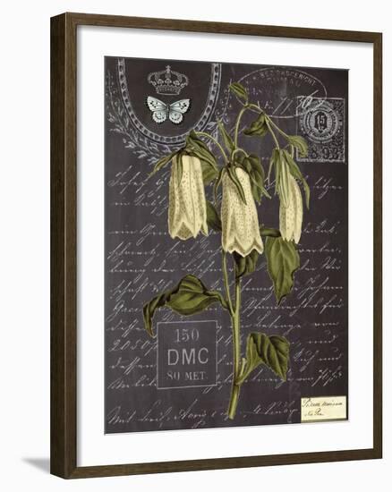 Vintage Botanical - Campanula-Stephanie Monahan-Framed Giclee Print
