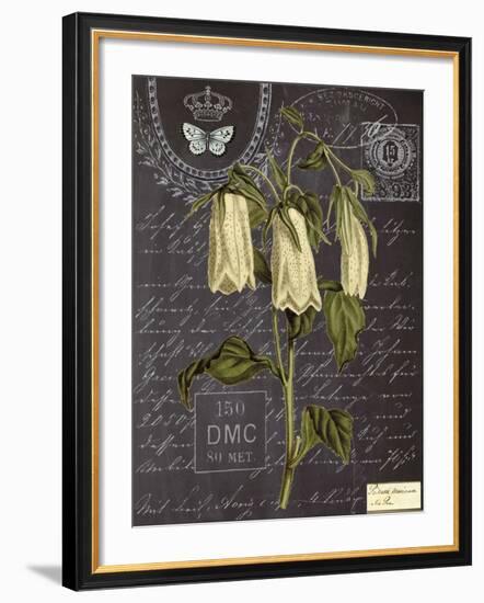 Vintage Botanical - Campanula-Stephanie Monahan-Framed Giclee Print