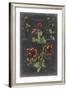 Vintage Botanical Chart II-Vision Studio-Framed Art Print