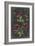 Vintage Botanical Chart II-Vision Studio-Framed Premium Giclee Print