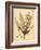 Vintage Botanical I-Gregory Gorham-Framed Art Print