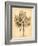 Vintage Botanical II-Gregory Gorham-Framed Art Print