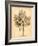 Vintage Botanical II-Gregory Gorham-Framed Art Print