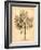 Vintage Botanical II-Gregory Gorham-Framed Art Print