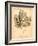 Vintage Botanical II-Gregory Gorham-Framed Art Print