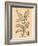 Vintage Botanical III-Gregory Gorham-Framed Art Print