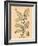 Vintage Botanical III-Gregory Gorham-Framed Art Print