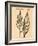 Vintage Botanical IV-Gregory Gorham-Framed Art Print