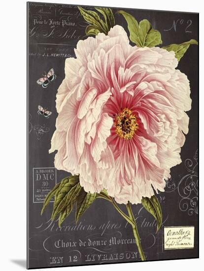 Vintage Botanical - Peony-Stephanie Monahan-Mounted Giclee Print