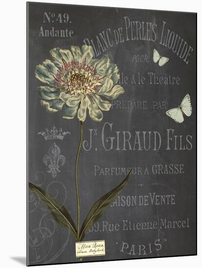 Vintage Botanical - Scabious-Stephanie Monahan-Mounted Giclee Print