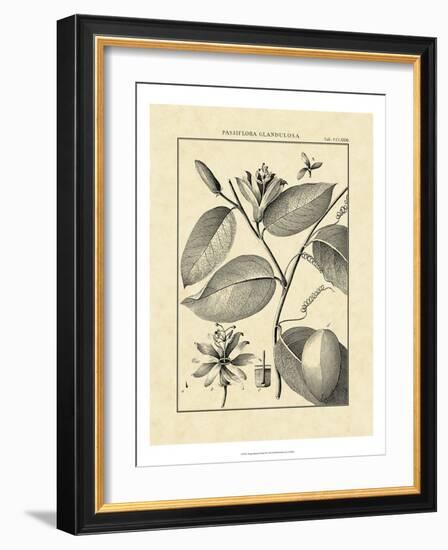 Vintage Botanical Study III-Sellier-Framed Art Print