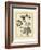 Vintage Botanical Study IV-Sellier-Framed Art Print