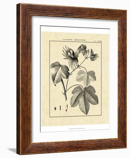 Vintage Botanical Study IV-Sellier-Framed Art Print