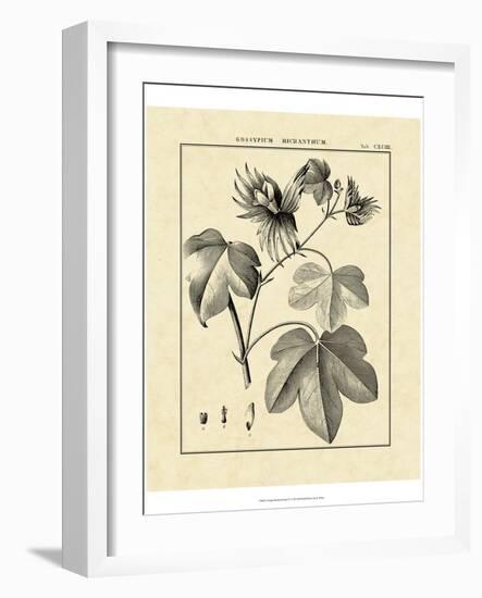 Vintage Botanical Study IV-Sellier-Framed Art Print