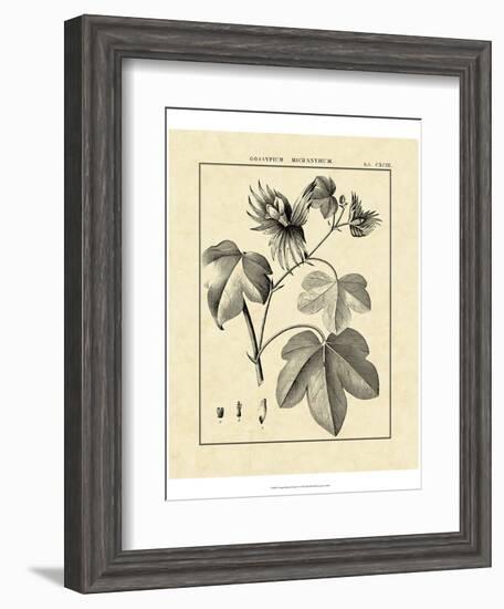Vintage Botanical Study IV-Sellier-Framed Art Print