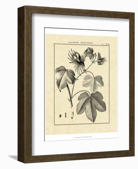 Vintage Botanical Study IV-Sellier-Framed Art Print