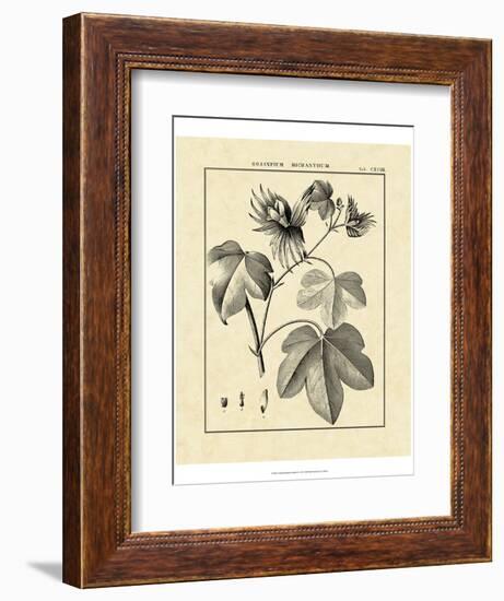 Vintage Botanical Study IV-Sellier-Framed Art Print