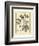 Vintage Botanical Study IV-Sellier-Framed Art Print