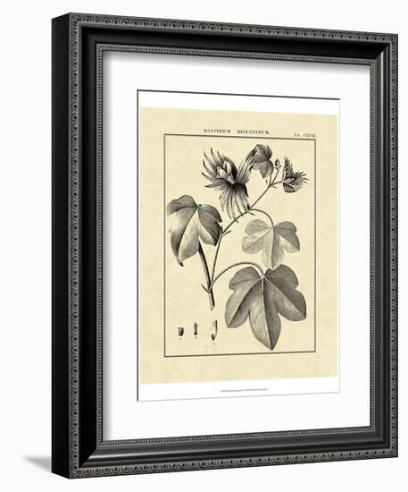 Vintage Botanical Study IV-Sellier-Framed Art Print