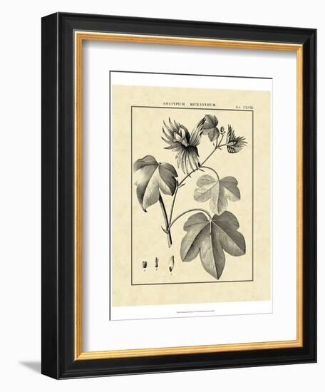 Vintage Botanical Study IV-Sellier-Framed Art Print