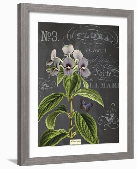 Vintage Botanical - Wildflower-Stephanie Monahan-Framed Giclee Print