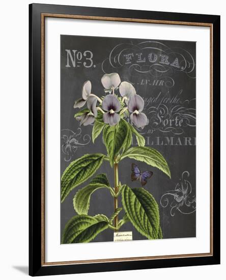 Vintage Botanical - Wildflower-Stephanie Monahan-Framed Giclee Print