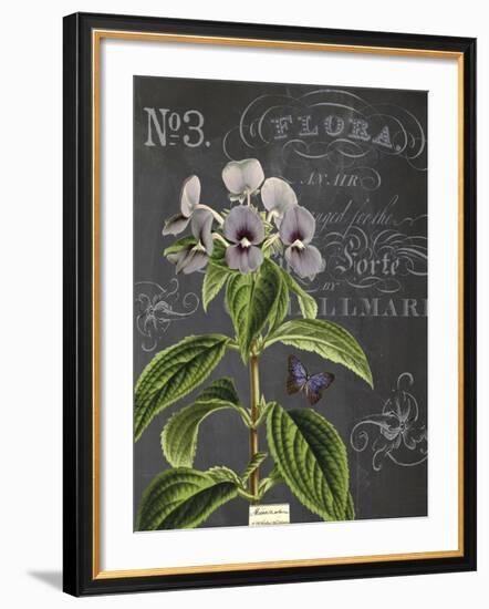 Vintage Botanical - Wildflower-Stephanie Monahan-Framed Giclee Print