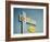 Vintage Bowl IV-Recapturist-Framed Photographic Print