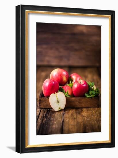 Vintage Box with Freshly Harvested Apples and Leaves-Marcin Jucha-Framed Photographic Print