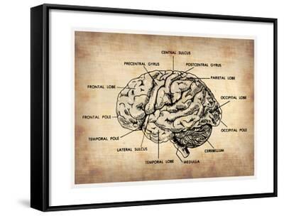 Kunst Anatomy Chart Of The Human Body Wall Art Canvas Print Picture Ready To Hang Antiquitaten Kunst Nouvelan Net