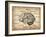 Vintage Brain Map Anatomy-NaxArt-Framed Art Print