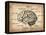 Vintage Brain Map Anatomy-NaxArt-Framed Stretched Canvas