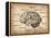 Vintage Brain Map Anatomy-NaxArt-Framed Stretched Canvas