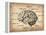 Vintage Brain Map Anatomy-NaxArt-Framed Stretched Canvas