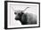 Vintage Bull-Dan Meneely-Framed Art Print