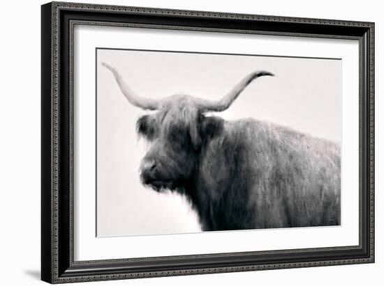 Vintage Bull-Dan Meneely-Framed Art Print