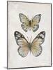 Vintage Butterflies I-Janet Tava-Mounted Art Print