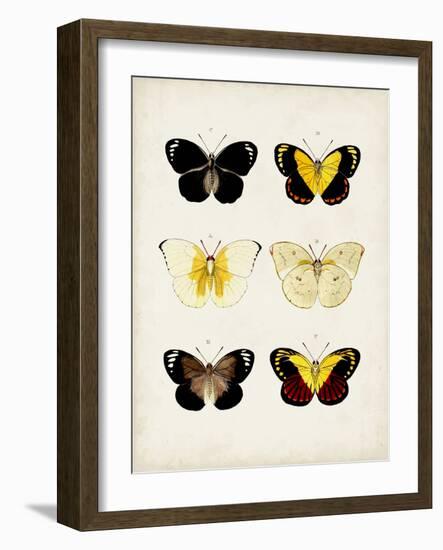 Vintage Butterflies I-Vision Studio-Framed Art Print