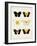 Vintage Butterflies I-Vision Studio-Framed Art Print