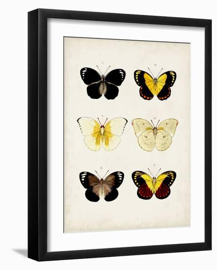 Vintage Butterflies I-Vision Studio-Framed Art Print
