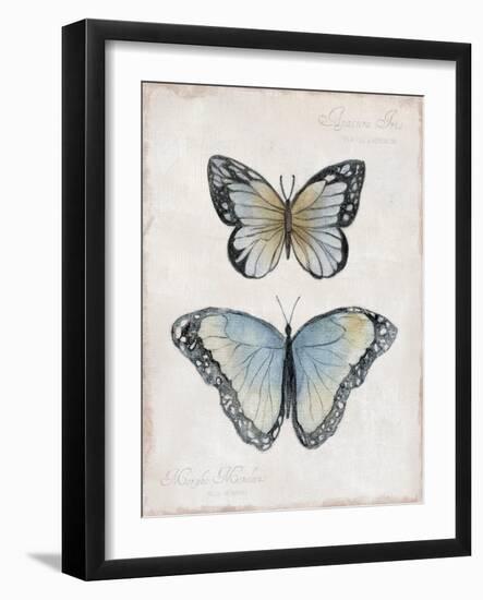 Vintage Butterflies II-Janet Tava-Framed Art Print