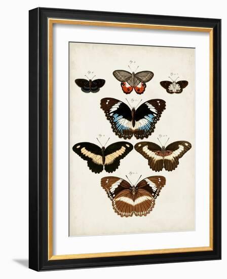 Vintage Butterflies II-Vision Studio-Framed Art Print