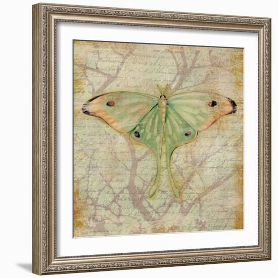 Vintage Butterflies III-Paul Brent-Framed Art Print